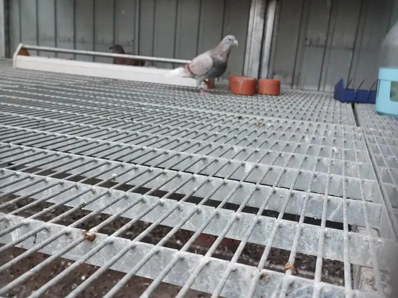 Pigeon Loft Steel Grating