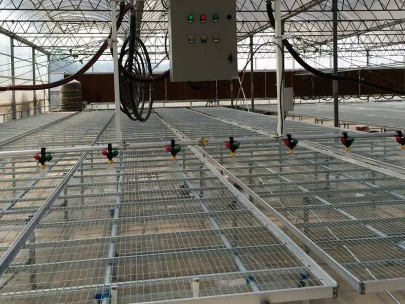 Steel wire mesh sheet for seedbed
