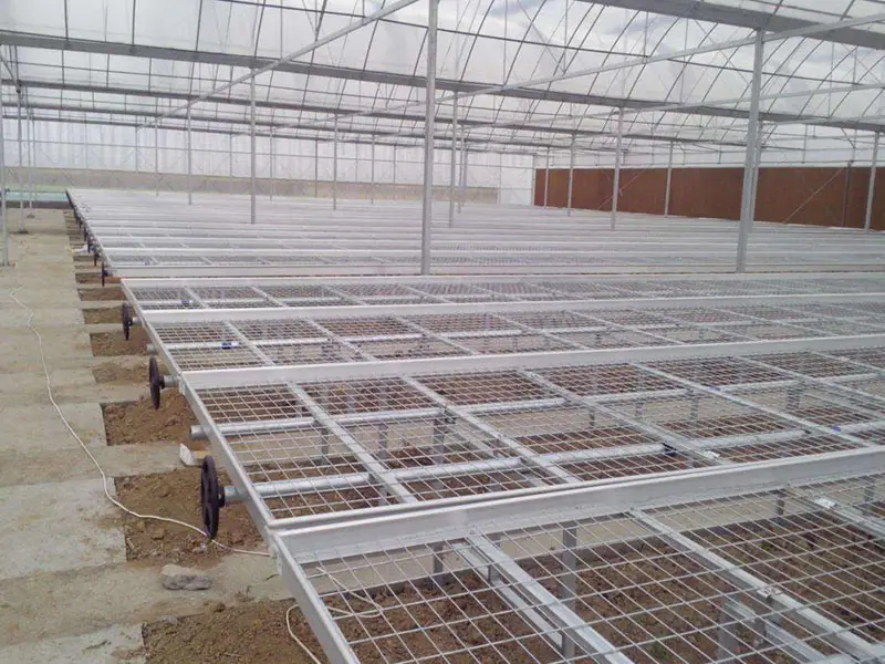 Steel wire mesh sheet for seedbed