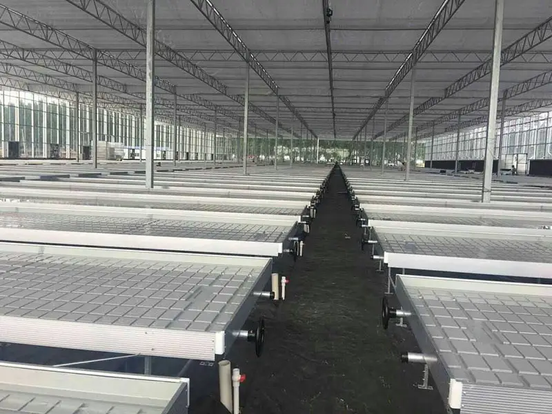 Steel wire mesh sheet for seedbed